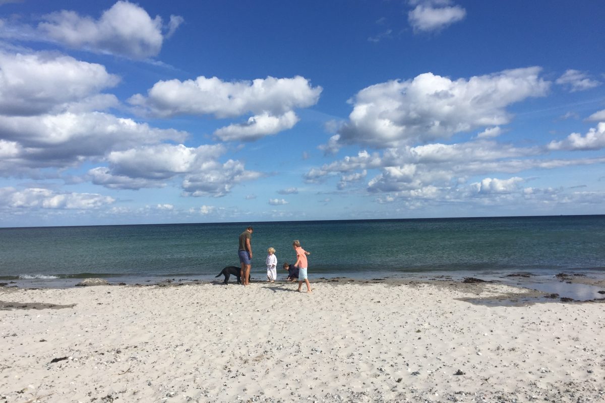 01f85945092cd6d0f08494df1e9f8a74e8a3cc63b7